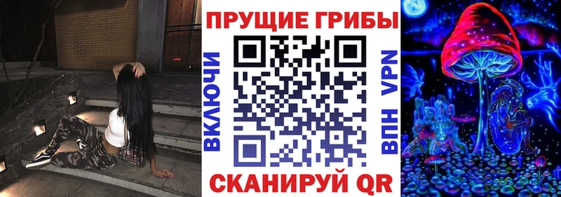 закладки  Белый  Псилоцибиновые грибы Cubensis 
